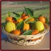 Naranjas de Mesa 10 Kg + Clementinas 3 Kg + Limones 2 Kg + 500 ml Aceite Oliva Virgen extra