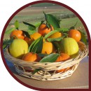 Naranjas de Zumo 7 Kg + Limones 3 Kg