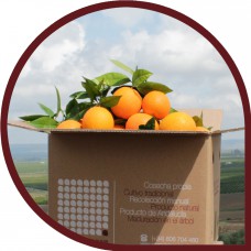 Naranjas de Mesa 10 Kg