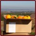 Naranjas de Mesa 10 Kg + Naranjas de Zumo 10 Kg